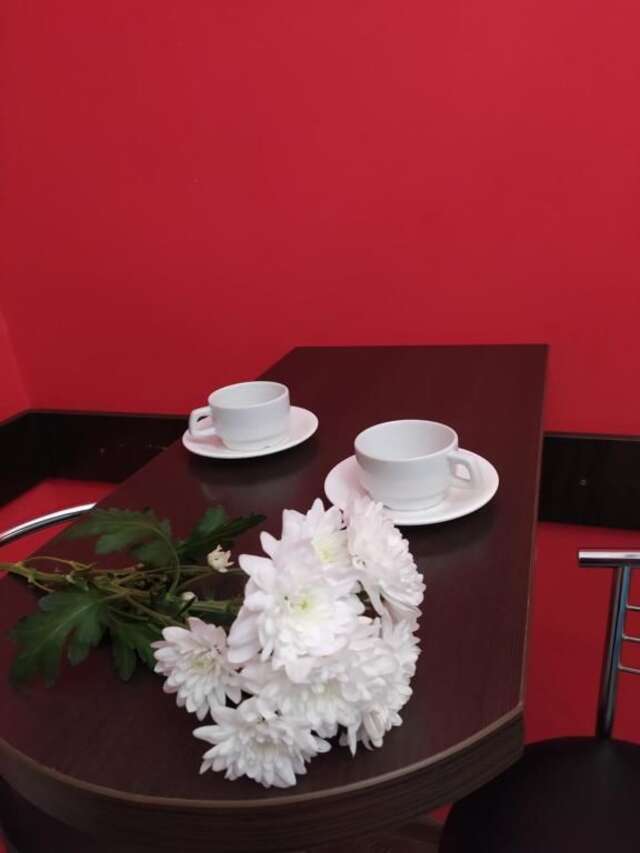 Апартаменты Cozy studio for couple near Polytechnic University Львов-23